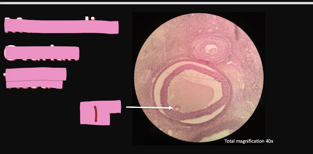 <p>What is this an image of?</p>