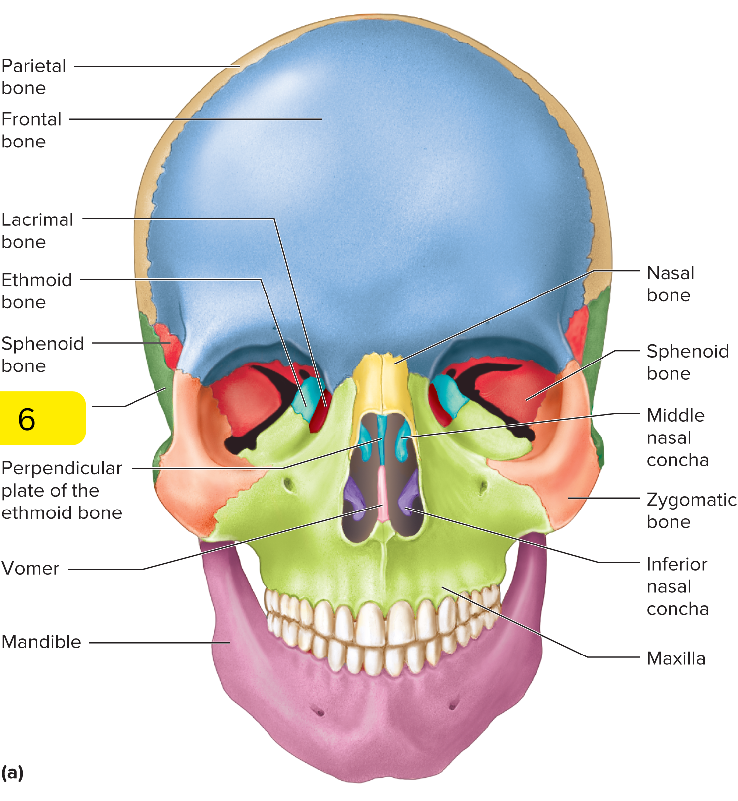 <p>What’s #6?</p>