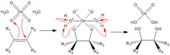 <p>- used to convert alkenes to diols</p><p>- syn addition</p><p>- no rearrangement</p><p>- stereoselctive (syn addition gives different products than trans alkenes)</p><p>- Reagents: 1) OsO4 --> 2) NaHSO3, H2O</p><p>Mechanism</p><p>1) addition of OsO4 to get a cyclic osmate</p><p>2) complicated electron transfer steps to get a cis glycol</p>