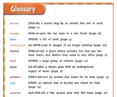 <p>A list of terms and definitions, usually in the back of a book.</p>