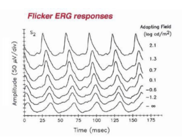 <p>Suppress rods by:</p><ul><li><p>Light adaptation with a bright background, or</p></li><li><p>Using a 30‑Hz flicker stimulus (rods cannot follow high‑frequency flicker).<br>→ Yields a cone‑specific ERG, useful for diagnosing cone dystrophies and photopic pathway defects.</p></li></ul><p></p>