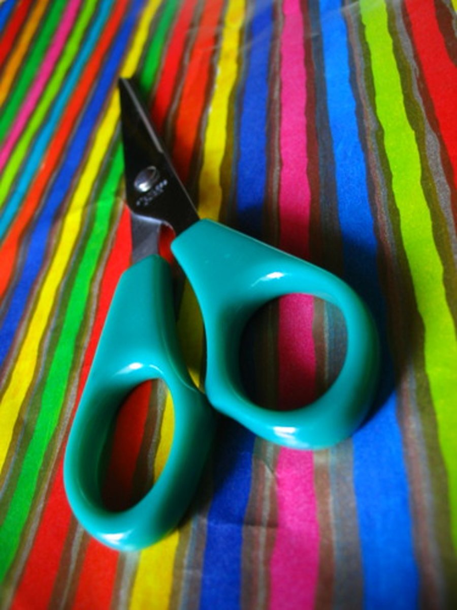 <p>the scissors</p>