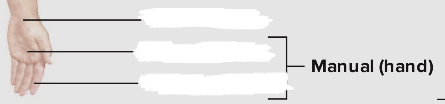 <p>Hand</p>