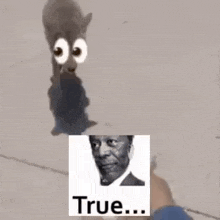 <p>True 4</p>
