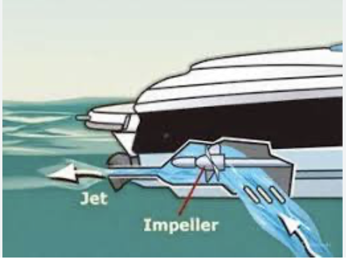 <p>Impeller </p>