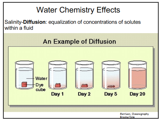 <p>what is salinity-diffusion? what is osmosis?</p>