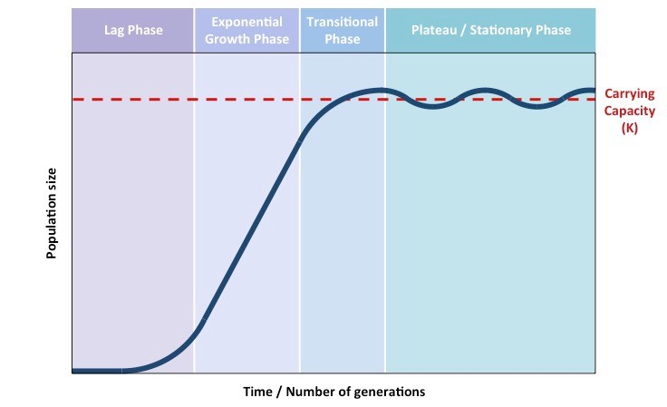 <p>Describe the growth distribution curve</p>