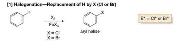 <p>(Replacement of H by X: Cl or Br) <u>Reagents</u>: <strong>X<sub>2</sub> </strong>& <strong>FeX<sub>3</sub></strong>, <u>Product </u>is an<strong> aryl halide</strong>, <u>electrophile </u>is the <strong>+Halogen</strong>. (An aryl halide is an organic compound where a halogen atom is bonded directly to an aromatic ring).</p>
