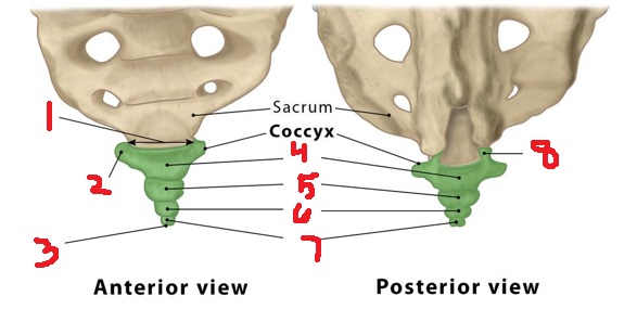 <p>5</p>