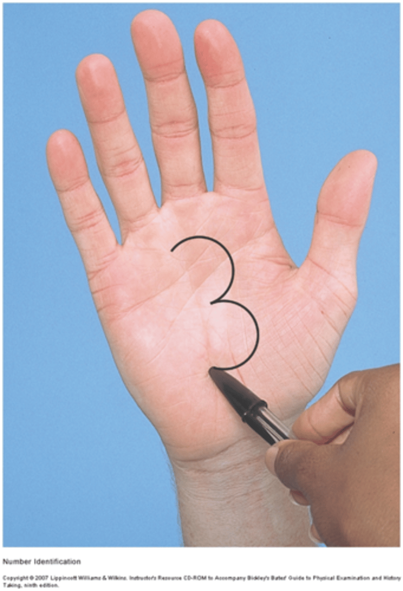 <p>vibration (tuning fork)</p><p>position (kinesthesia)</p><p>tactile discrimination (fine touch, also sensory cortex)(stereognosis-define by feeling object w/ eyes closed, extinction-test if able to sense both sides of body being touched at same time, point location-touch and withdraw quickly ask where touched, graphesthesia-read # drawn on skin)</p>