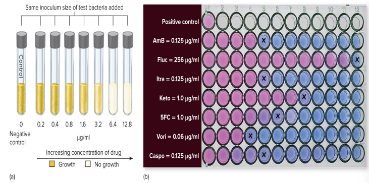<ul><li><p>Used to determine the MIC </p></li></ul><p></p>