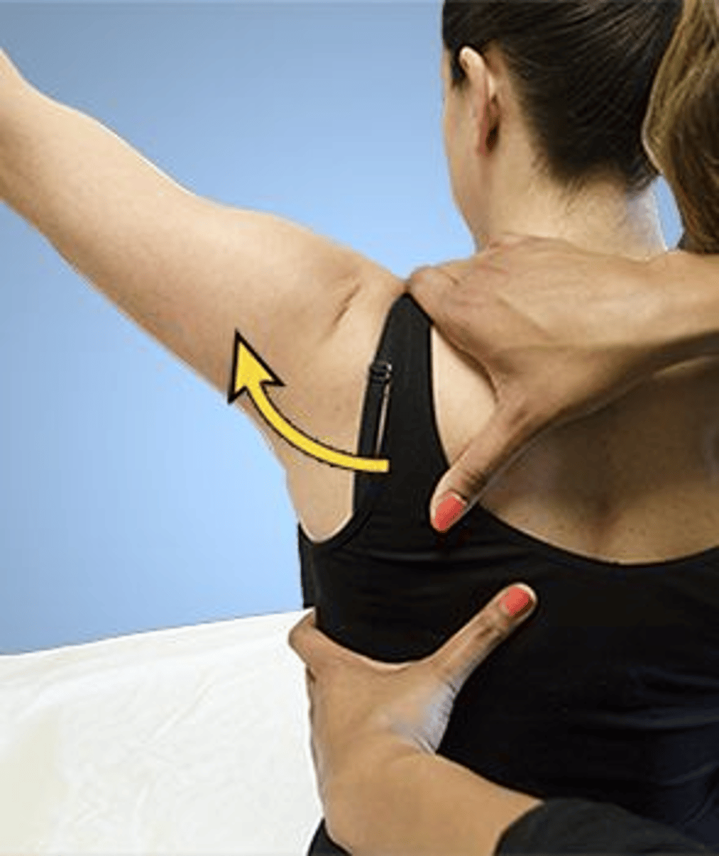 <p>3,3</p><p>1. Adhesive capsulitis is characterized by a loss of mobility at the glenohumeral joint. Assisting the scapula would not be expected to decrease pain. Moreover, an individual who has adhesive capsulitis is likely to have compensatory scapular mobility.</p><p>2. The test in the photograph is used to assess for the presence of subacromial impingement. Sternoclavicular joint problems occur later in the range of motion.</p><p>3. The test in the photograph is designed to assist scapular motion. Scapular abnormalities can be a cause of impingement, and the test is designed to identify the scapular role in impingement.</p><p>4. The test in the photograph is used to assess for the presence of subacromial impingement. Acromioclavicular joint problems occur later in the range of motion.</p>