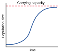 <p>popualtion grwoth slows as population approaches carrying capacity</p>