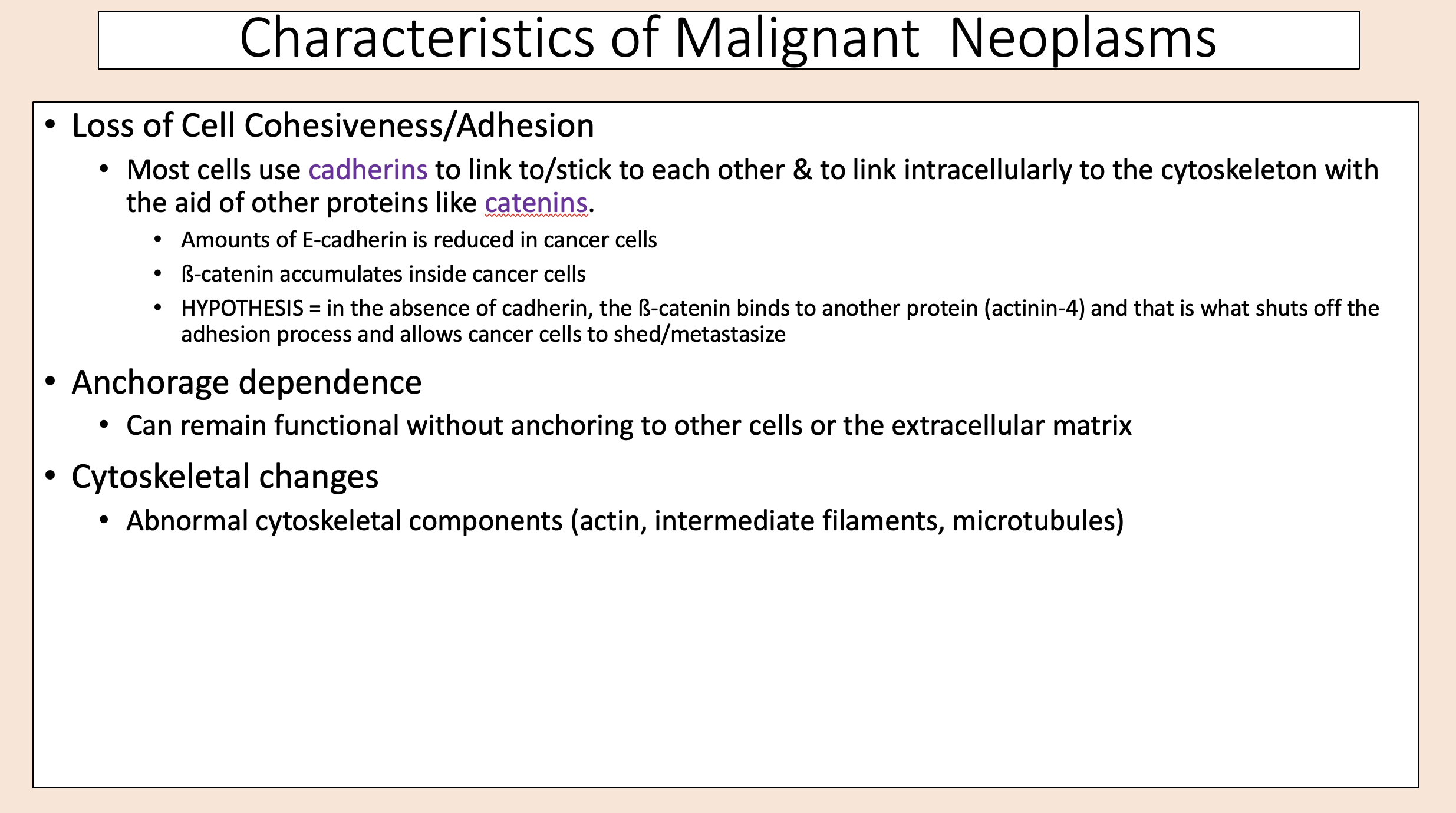 <p>c<span>ytoskeletal changes</span></p>