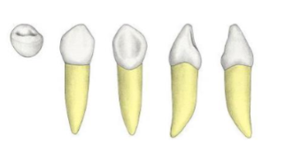 <p>?</p>