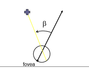 <p>Oculocentric direction (β) is sensed from retinotopic information.</p>