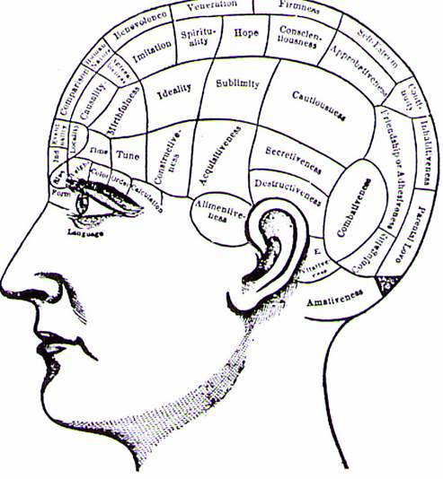 <ul><li><p>Franz Joseph Gall: postulated that the brain consists of 35 domains or centres each corresponding to a specific mental function</p></li><li><p>centre for each function could increase in size as a result of use</p></li></ul><p></p>