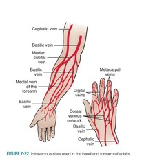 <p>A method where drugs are injected directly into the bloodstream.</p>