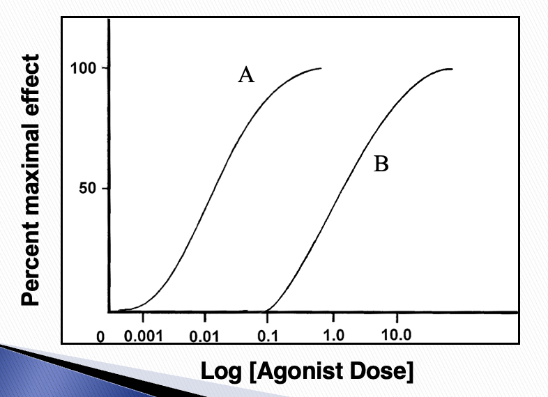 <p><strong>☆ </strong>What best explains the relationship between A and B on the graph provided?</p>