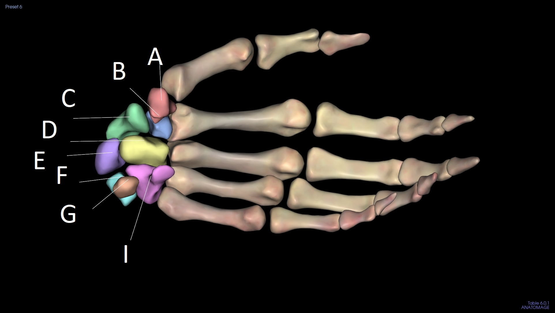 <p>I</p>
