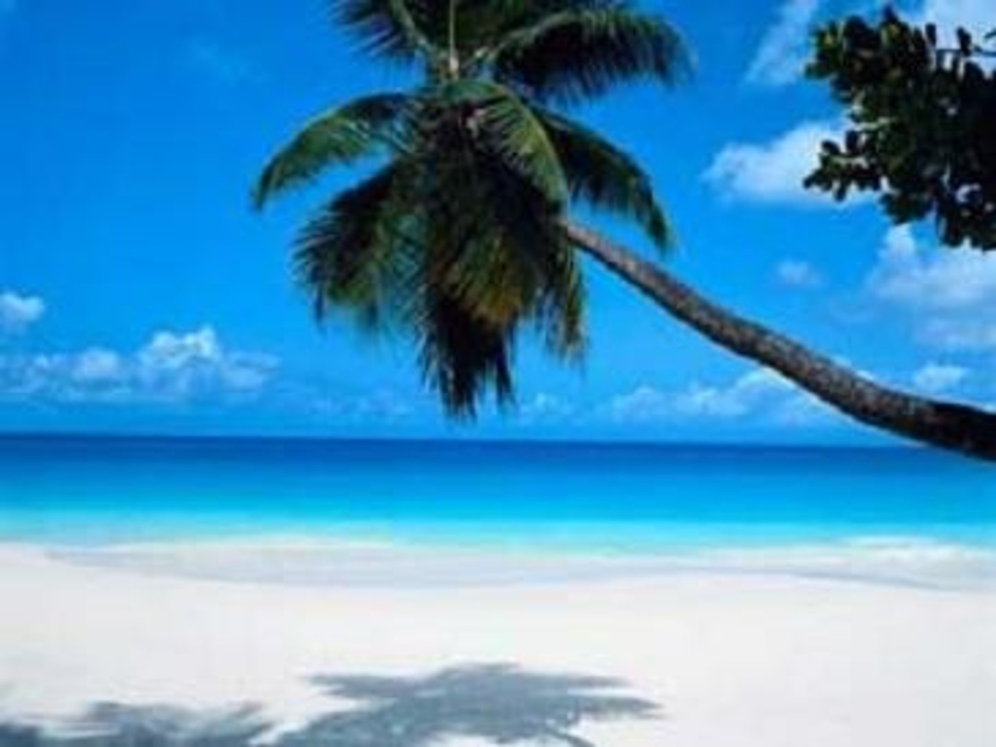 <p>beach, see</p>