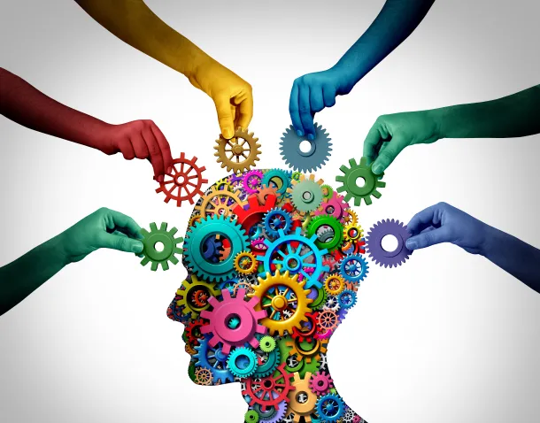 <p>Central components of intelligence basic scheme</p>