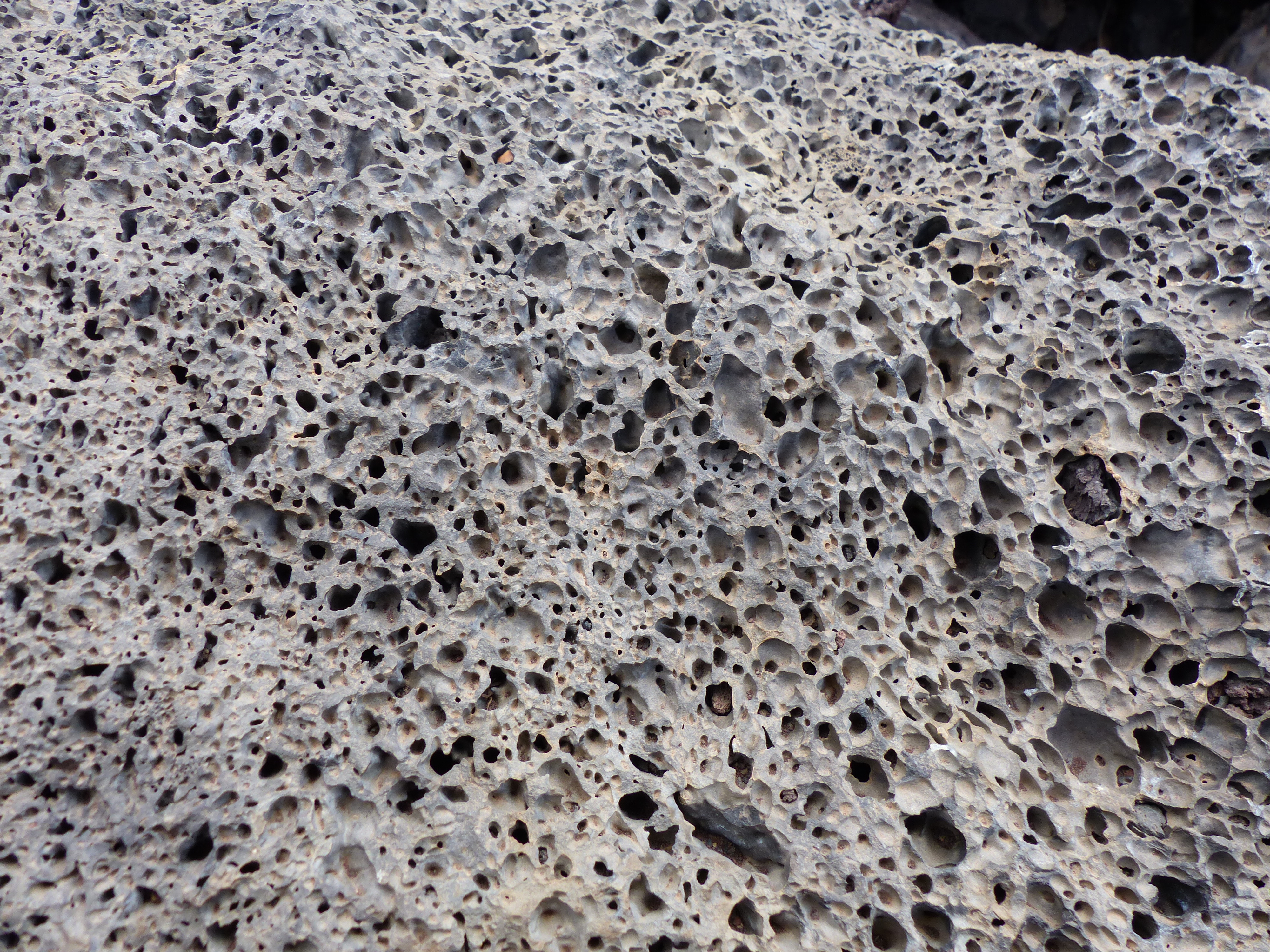 <p>Formerly gas bubbles in a melt. </p>