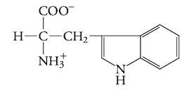 <p>hydrophobic aa</p>