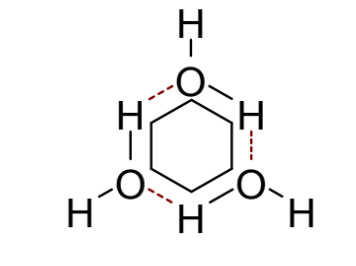 <ul><li><p>cyclohexane cannot form H bonds with water - only vdW</p></li><li><p>for all the water molecules to form H bonds high order is needed so they form constrained networks around each molecule of hydrophobic cyclohexane</p></li><li><p>this is very entropically unfavourable</p></li></ul><p></p>