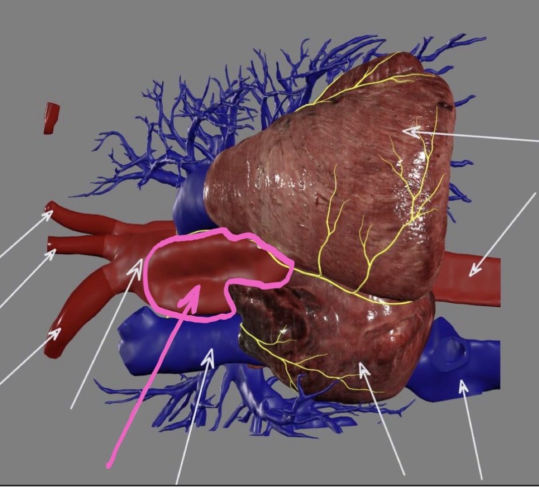 <p>What’s the highlighted area?</p>