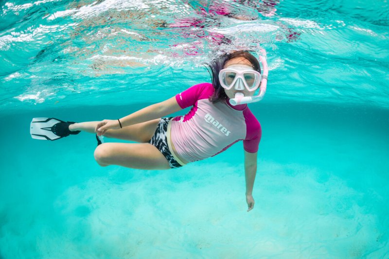<p>go snorkeling </p>