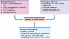 <p>an integrated approach that incorporates biological, psychological, and social-cultural levels of analysis.</p>