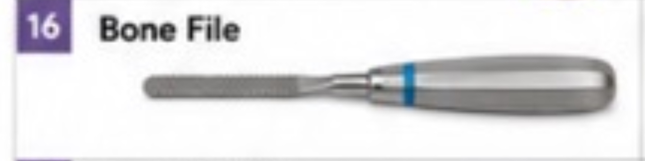 <p>Bone File</p>