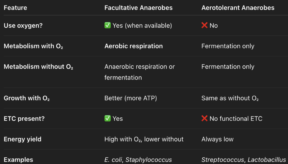 <ul><li><p><strong>aerotolerant anaerobes</strong> — ALWAYS ferments bc no ETC; can tolerate O<sub>2</sub> but does not use O<sub>2</sub></p></li><li><p><strong>facultative anaerobes</strong> — flexible; switches between aerobic respiration, anaerobic respiration, and fermentation </p></li></ul><p></p>