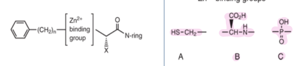 <p><strong>ACE-I: SAR of ACE-I</strong></p><ul><li><p><span style="background-color: transparent;">N-ring must contain a carboxylic acid to mimic the C-terminal carboxylate of ACE substrates.</span></p></li><li><p><span style="background-color: transparent;">Large hydrophobic heterocyclic rings (i.e., the N-ring) increase potency + alter pharmacokinetic parameters.&nbsp;</span></p></li><li><p><span style="background-color: transparent;">The <strong>_______</strong> binding groups can be either a <strong>_______</strong> (A), a <strong>_______</strong> (B), or a <strong>_______</strong> (C). (<u>KNOW</u>!)</span></p></li><li><p><span style="background-color: transparent;">Esterification of the </span>carboxylic acid<span style="background-color: transparent;"> or </span>phosphinic acid<span style="background-color: transparent;"> produces an orally bioavailable </span>prodrug<span style="background-color: transparent;">.&nbsp;</span></p></li><li><p><span style="background-color: transparent;">X is usually methyl.&nbsp;</span></p></li><li><p><span style="background-color: transparent;">Optimum activity occurs when stereochemistry of the inhibitor is consistent with <strong>_______</strong> stereochemistry present in normal substrates. &nbsp;(<u>KNOW</u>!)</span></p></li></ul><p></p>