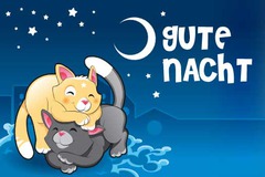 <p>night</p>
