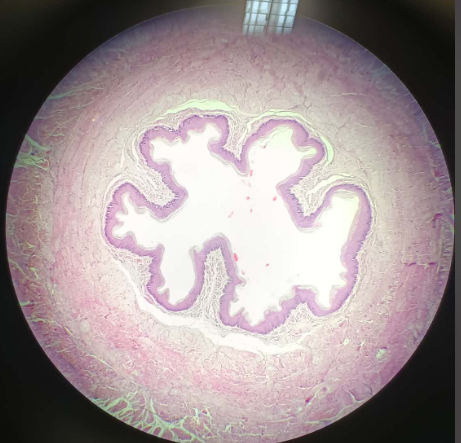 <p>What is this?</p>