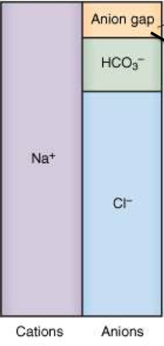 <p>results from issues with measured ions (Na, Cl, HCo3)</p><p>- usually from loss of bicarb via GI</p><p>- sometimes bc of exogenous Cl intake (ex NS)</p><p>compare to AG acidosis-> which is from anions that are NOT measured (AG>12)</p>