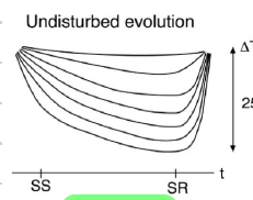 <p>Undisturbed evolution</p>