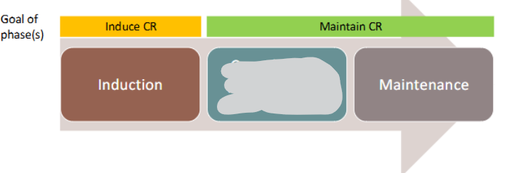 <p>Adult <u>AML</u> Treatment Phases</p>