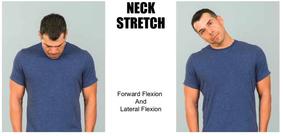 <p>forward flexion and lateral flexion</p>