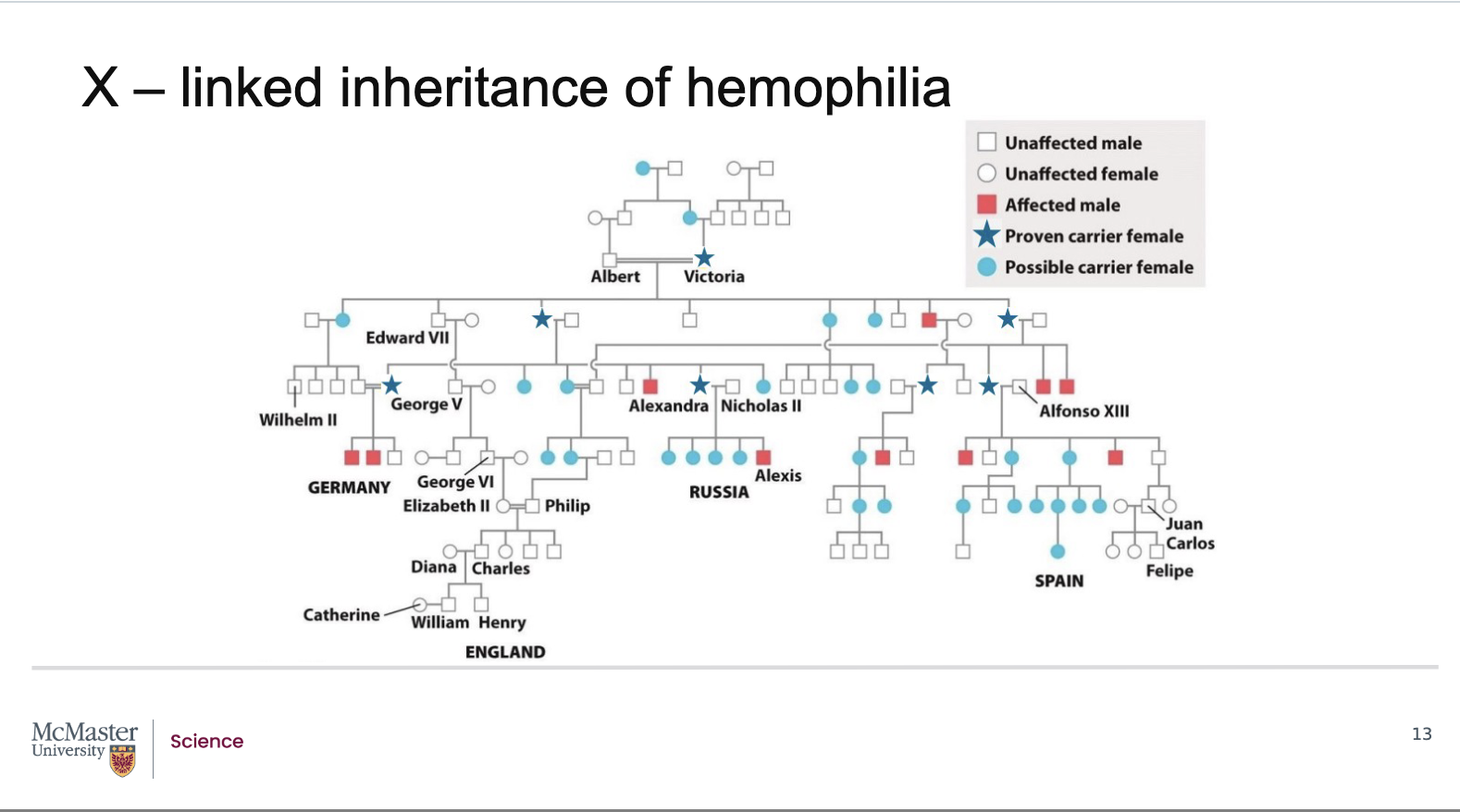 <p><strong>Back (Answer):</strong></p><ul><li><p><strong>Haemophilia</strong> is a <strong>blood‑clotting disorder</strong></p></li><li><p>It is caused by:</p><ul><li><p>A mutation in a gene that encodes a <strong>protein required for normal blood clotting</strong></p></li></ul></li><li><p>This mutation leads to:</p><ul><li><p>Inability to clot blood properly</p></li><li><p>Increased risk of excessive or uncontrolled bleeding</p></li></ul></li><li><p>Haemophilia is inherited as an <strong>X‑linked recessive trait</strong></p></li><li><p><strong>Historical example:</strong></p><ul><li><p><strong>Queen Victoria</strong> was a <strong>carrier</strong> of the haemophilia allele</p></li><li><p>She did not show symptoms</p></li><li><p>She had a <strong>son affected by haemophilia</strong></p></li></ul></li><li><p>This occurred because:</p><ul><li><p>She passed her affected X chromosome to her son</p></li><li><p>The son was <strong>hemizygous</strong> and expressed the disorder</p></li></ul></li><li><p>In pedigrees:</p><ul><li><p>Carrier females are often indicated separately</p></li><li><p>Affected males appear more frequently than affected females</p></li></ul></li><li><p>These inheritance patterns follow:</p><ul><li><p>The same <strong>Mendelian rules</strong> seen with other X‑linked recessive traits, such as colour‑blindness</p></li></ul></li></ul><p><strong>Key takeaway:</strong><br>Haemophilia clearly shows how X‑linked recessive disorders can be passed through unaffected carrier females and appear primarily in males.</p>