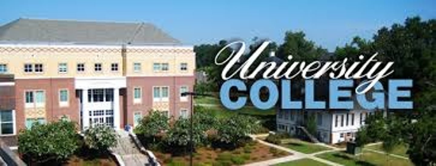<p>(noun) education at a college or university level.</p>
