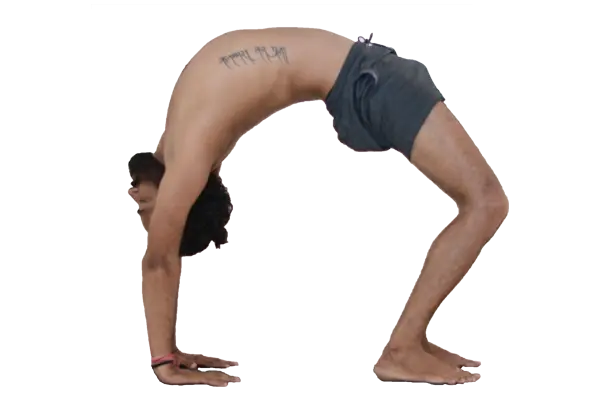 term image