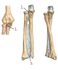 <p>pivot</p>