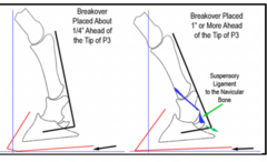 <p>why increasing breakover helps</p>