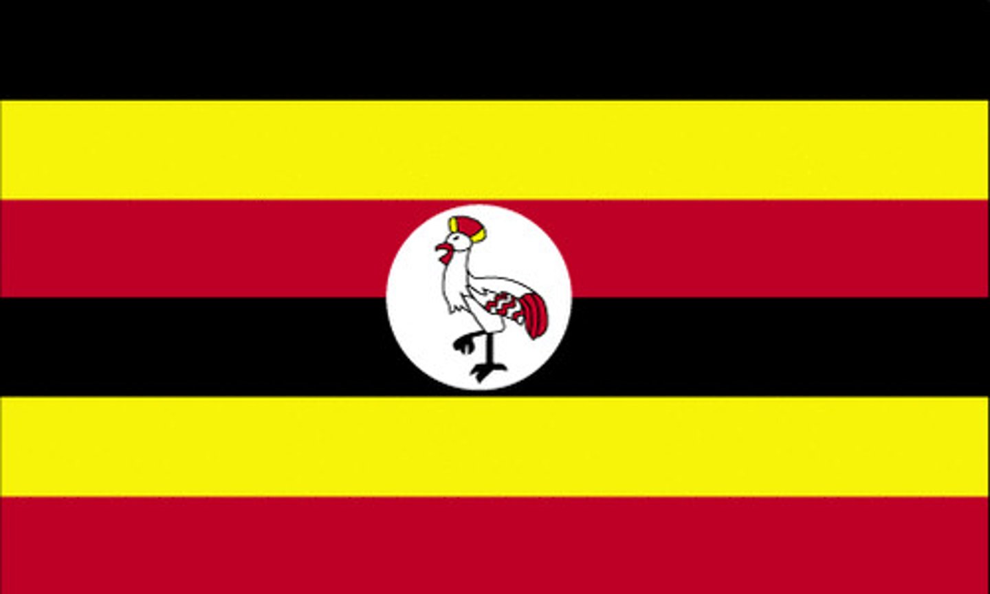 <p>l'Ouganda, ougandais (2x)</p>