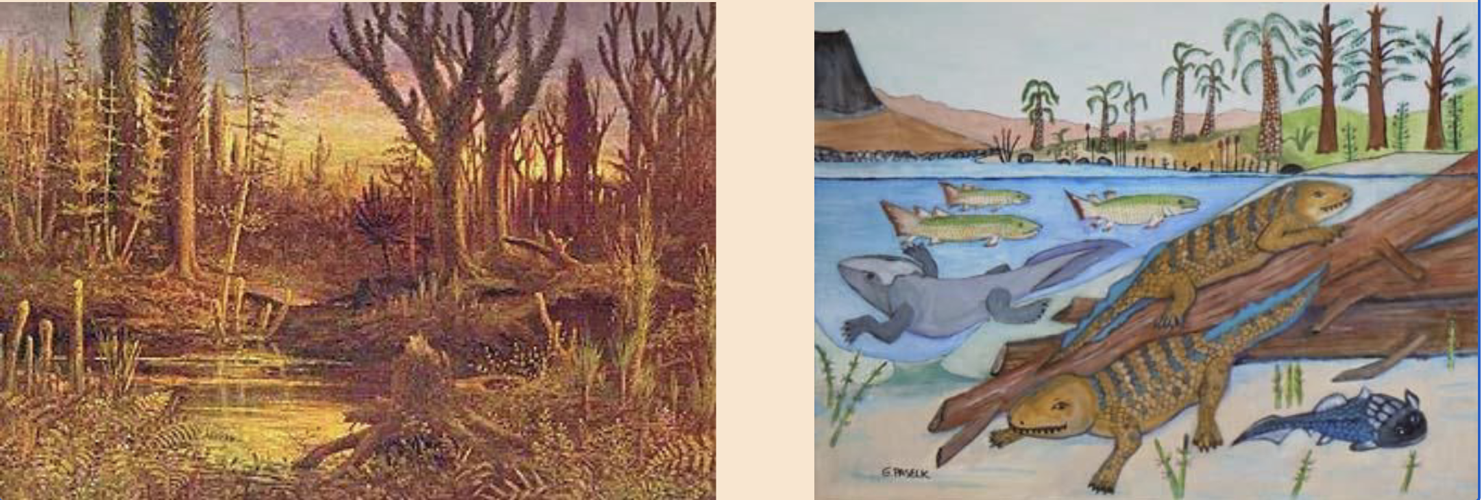 <p><u>Natural Selection</u></p><p>• Predators</p><p>• Temperature</p><p>• UV radiation</p>