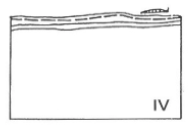 <p><span style="color: red;"><strong>Long periods of hypoxia </strong></span>and <span style="color: purple;"><strong>formation of bacterial mats </strong></span>at the sediment surface</p><p>→ with <span style="color: red;"><s>no permanent benthic macrofauna </s></span>but sometimes with <em><u>vagile epifauna</u></em></p><p></p>