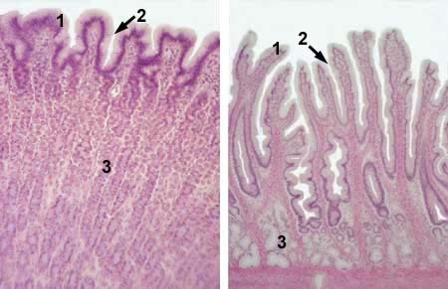 <p>2</p>
